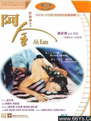 解剖学基础入门